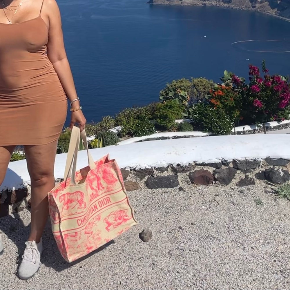 Christian Dior Straw Tote Pink - Picture 6 of 7